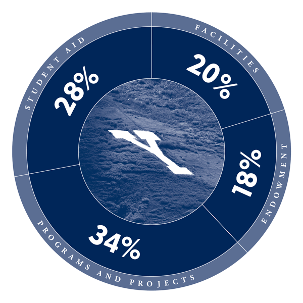 AnnualGivingReport_chart_sm